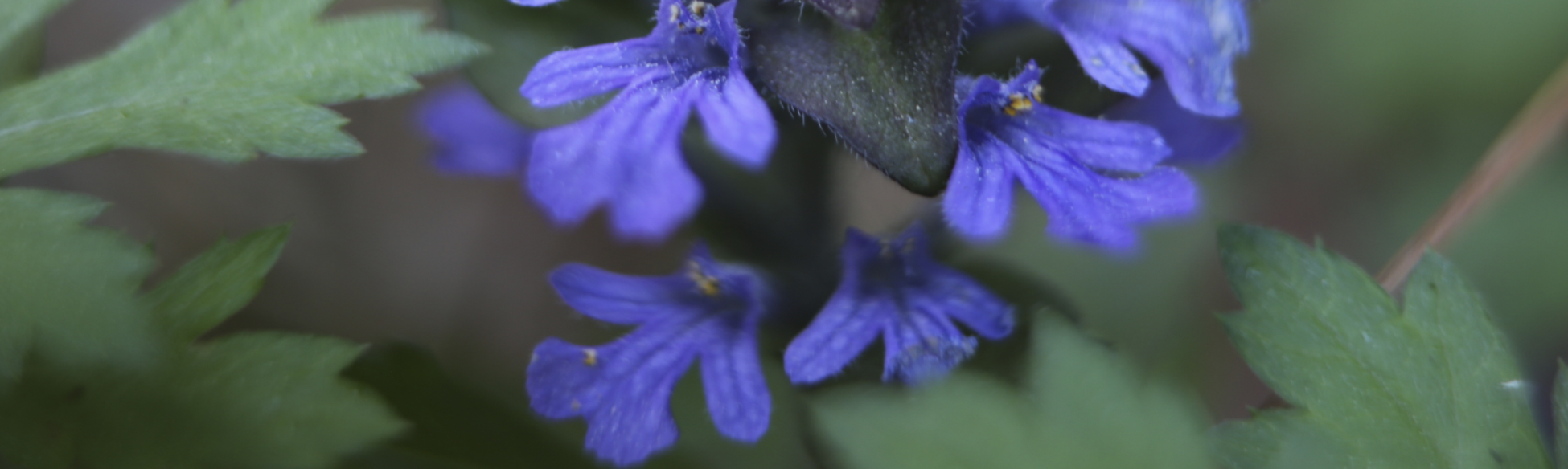 Group cover image